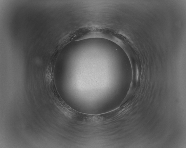 X0000073491348200607311216