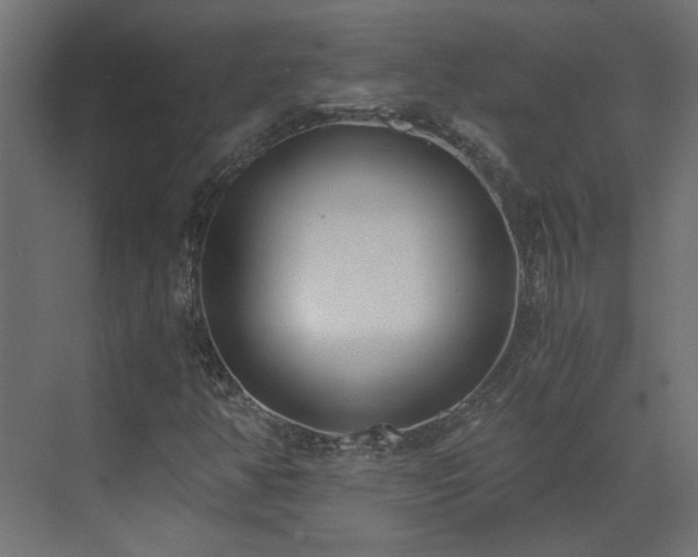 X0000073491350200607311216
