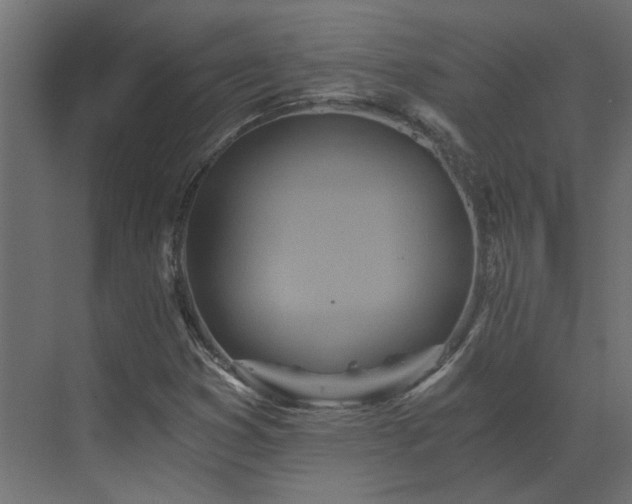 X0000073491353200607311216