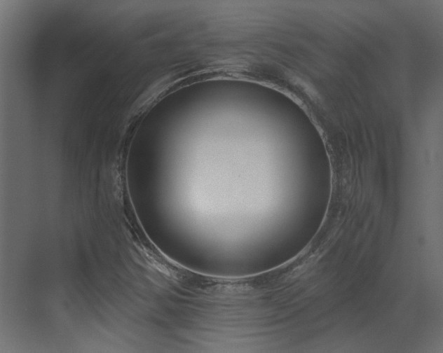 X0000073491354200607311216