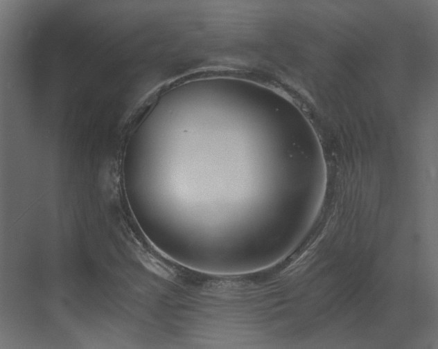 X0000073491355200607311216