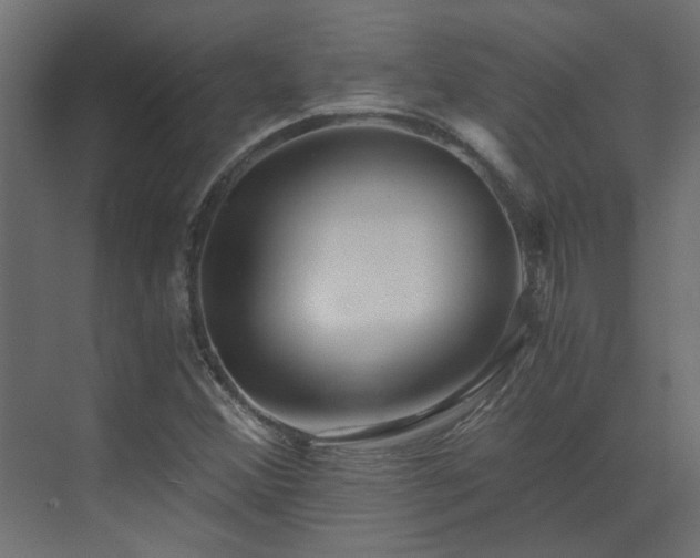 X0000073491356200607311216