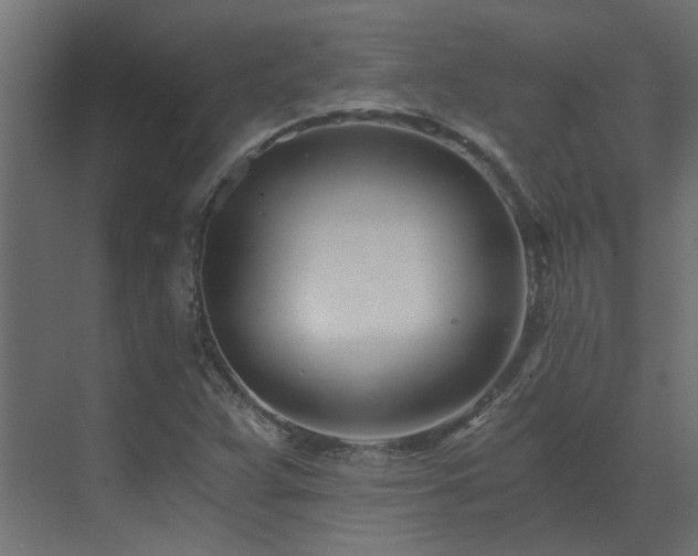 X0000073491359200607311215