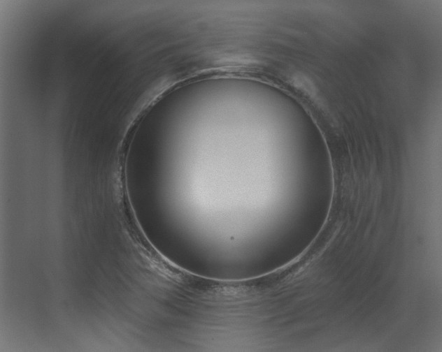 X0000073491362200607311215