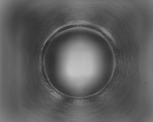 X0000073491364200607311215