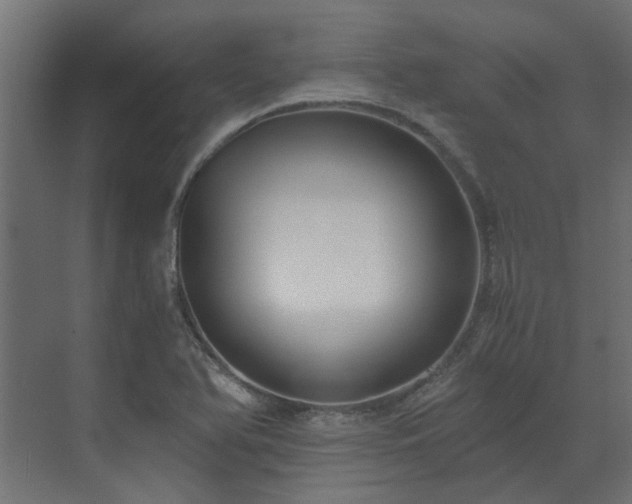 X0000073491366200607311215