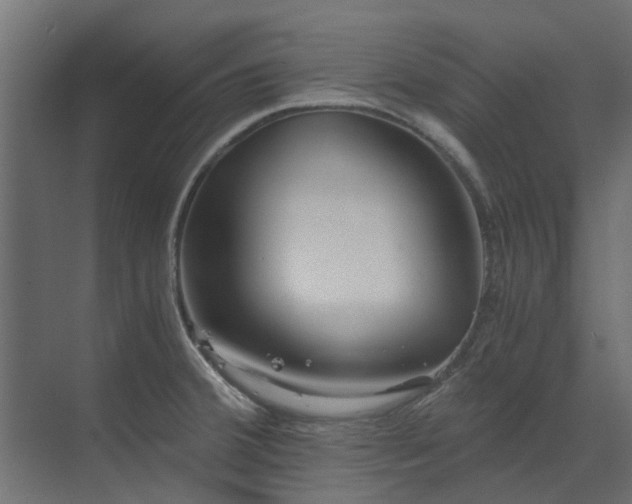 X0000073491380200607311215