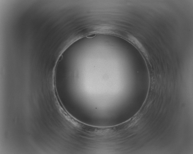 X0000073491386200607311215