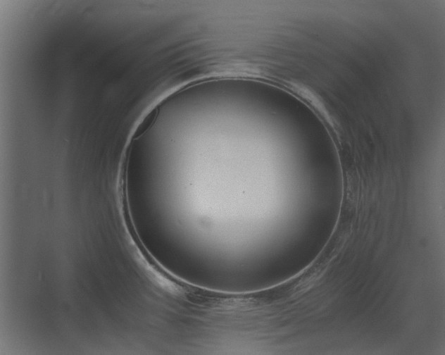 X0000073491387200607311215