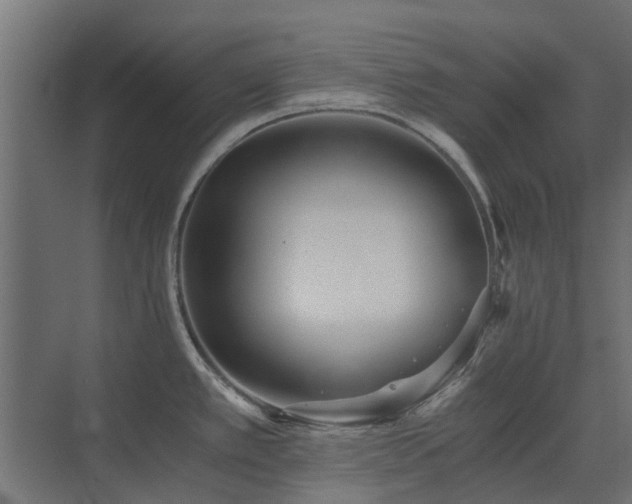 X0000073491389200607311215