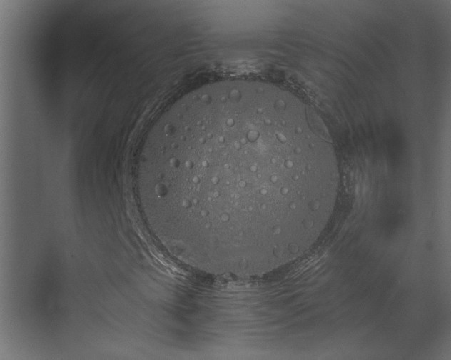 X0000073491393200607311214