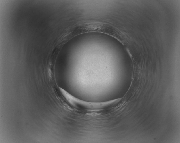 X0000073491394200607311214