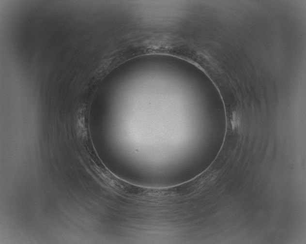 X0000073491396200607311214