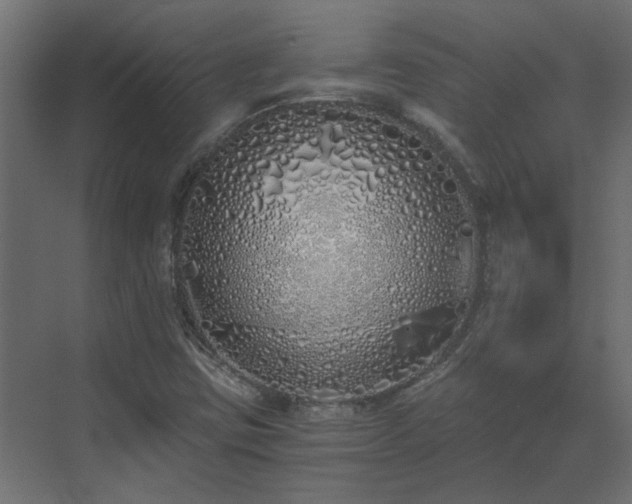 X0000073491403200607311214