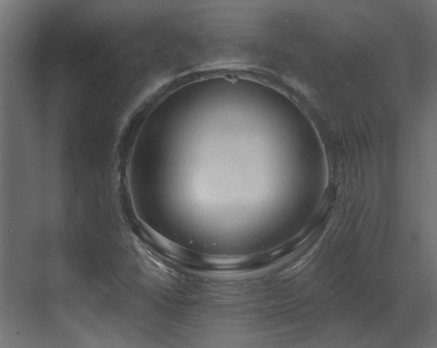 X0000073491406200607311214