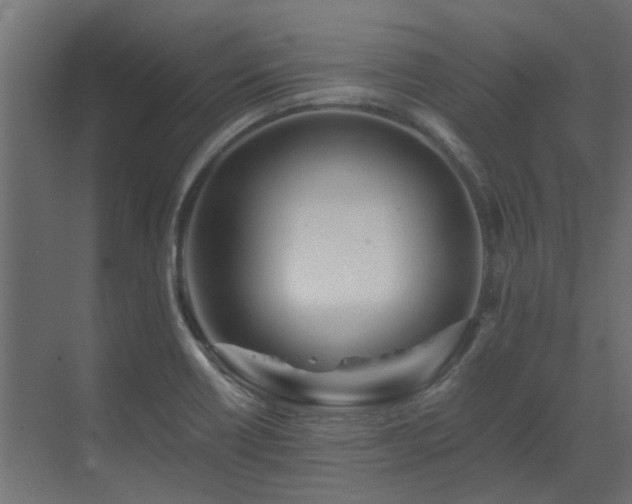 X0000073491418200607311214