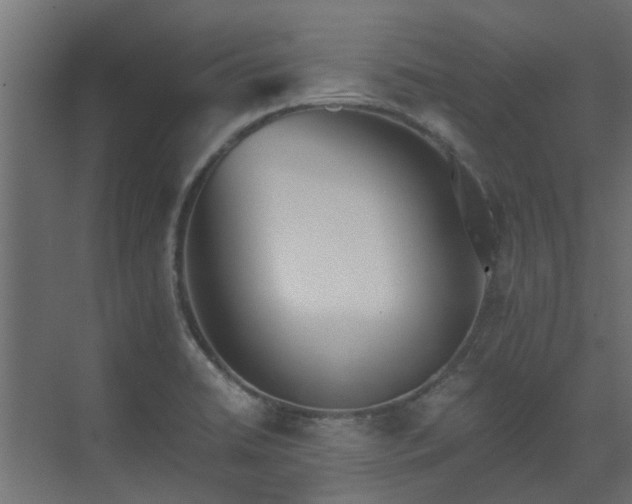 X0000073491422200607311215
