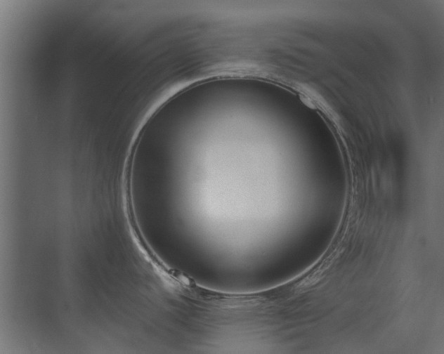 X0000073491440200607311215
