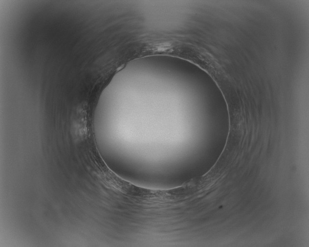 X0000073491442200607311214