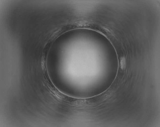 X0000073491444200607311214