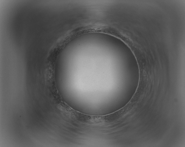 X0000073491447200607311214