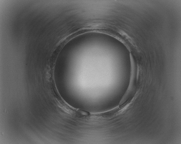 X0000073491449200607311214