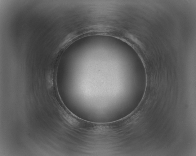 X0000073491451200607311214
