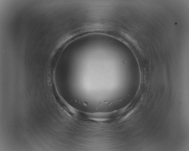 X0000073491453200607311214