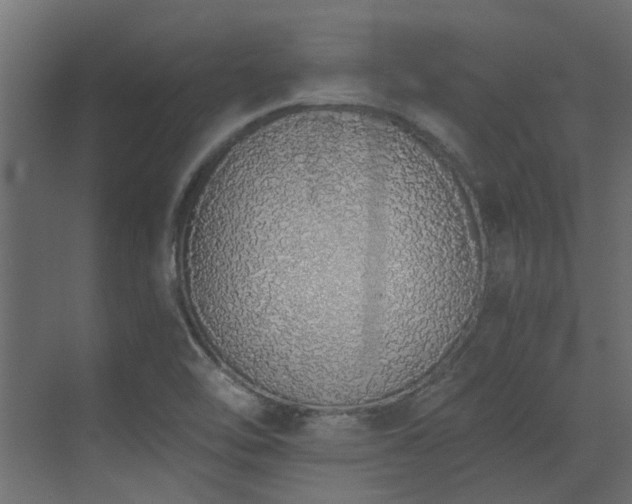 X0000073491462200607311214