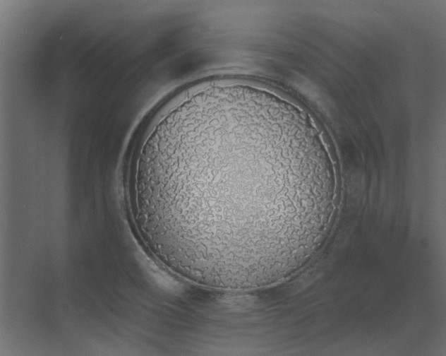 X0000073491466200607311214