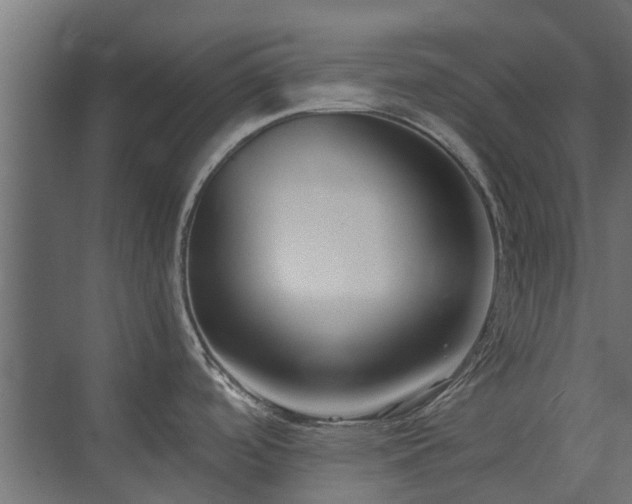 X0000073491488200607311213