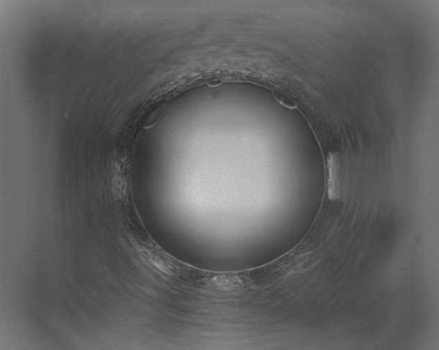 X0000073491491200607311212