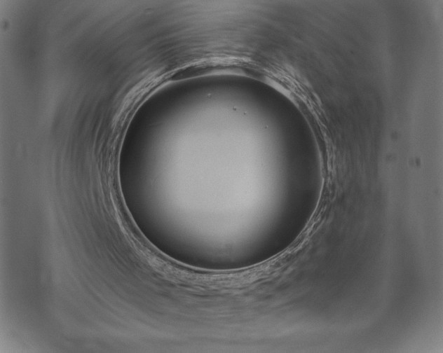 X0000073490001200608071009