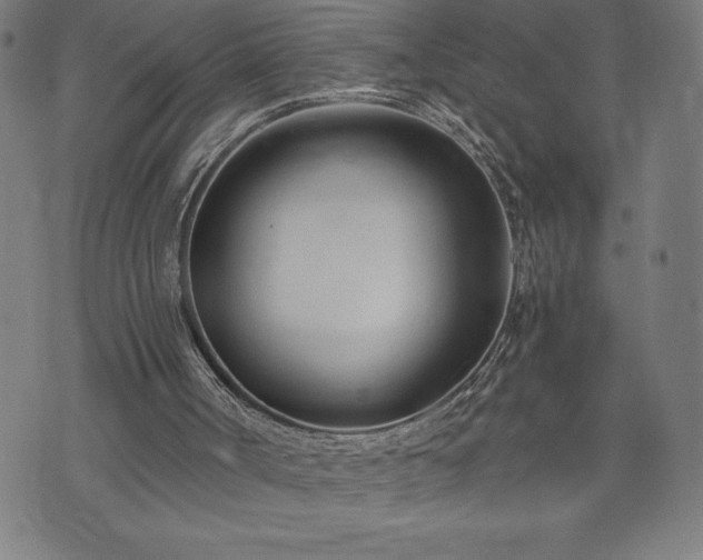 X0000073490002200608071009