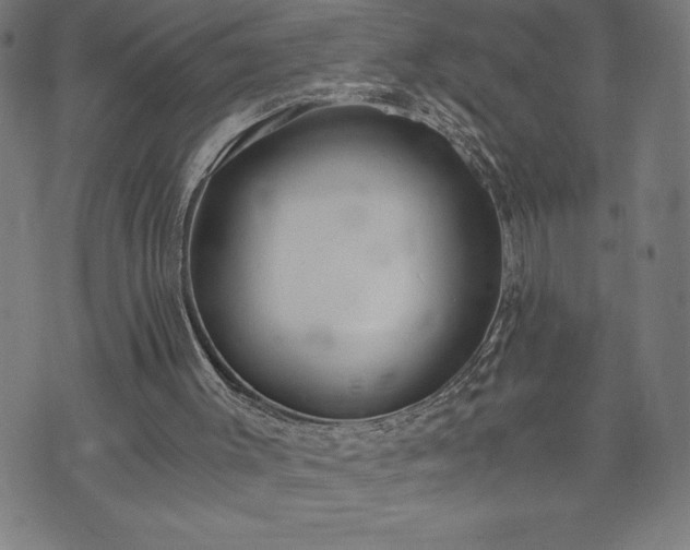 X0000073490003200608071009