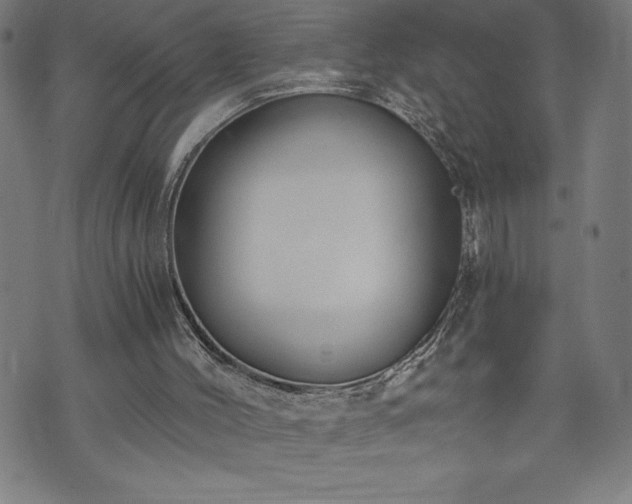 X0000073490004200608071009