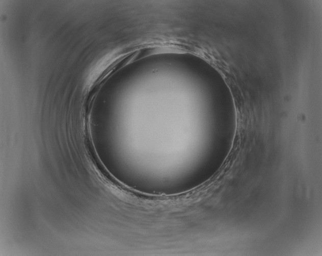 X0000073490005200608071009