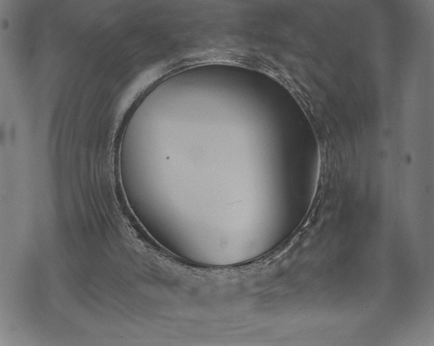 X0000073490006200608071009