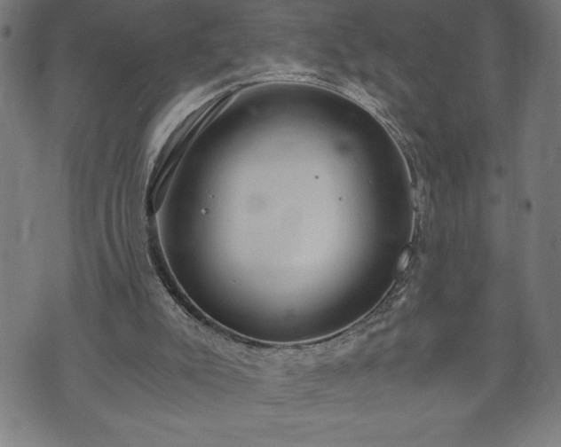 X0000073490007200608071009