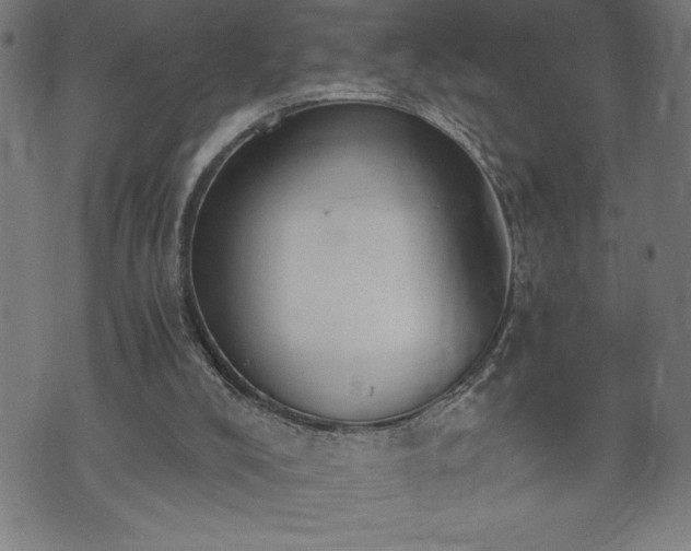 X0000073490008200608071009