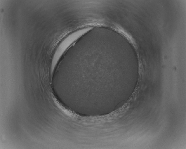 X0000073490009200608071009