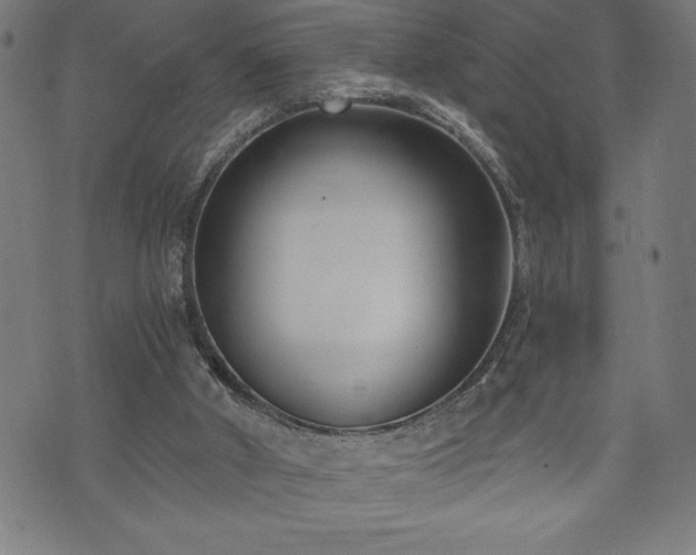 X0000073490010200608071009