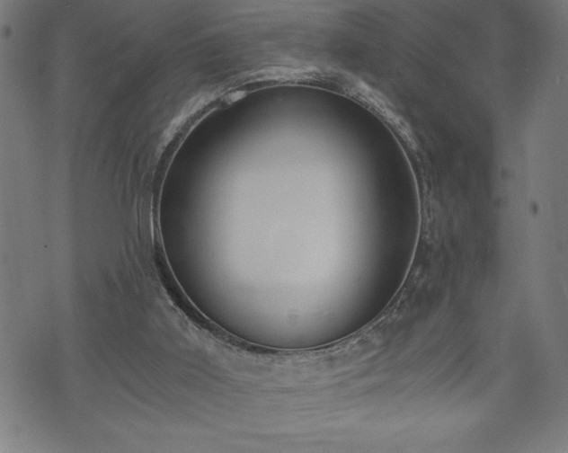 X0000073490011200608071009