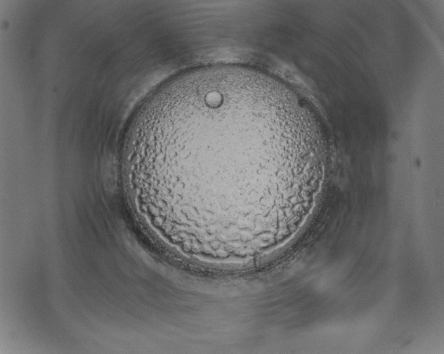 X0000073490012200608071008