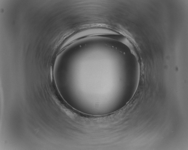 X0000073490013200608071008