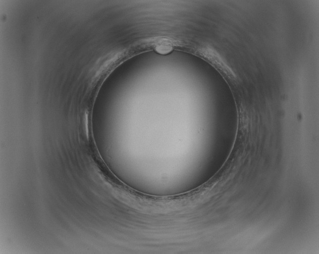 X0000073490014200608071008