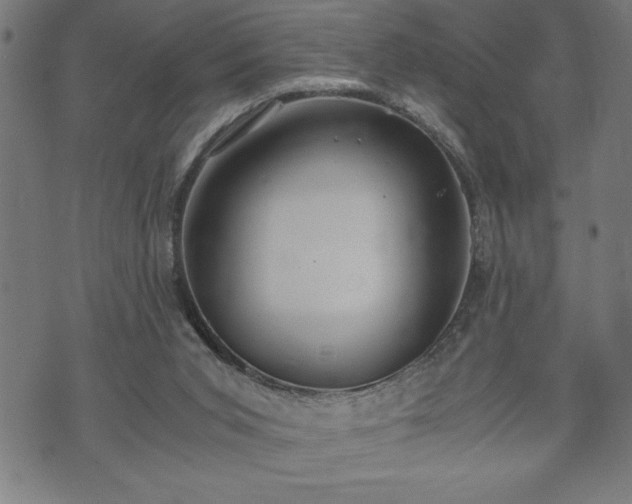 X0000073490015200608071008