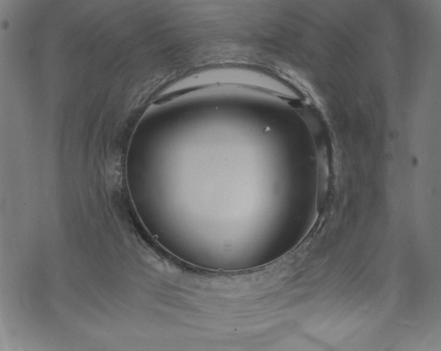 X0000073490017200608071008