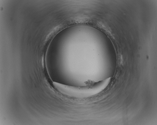 X0000073490019200608071008