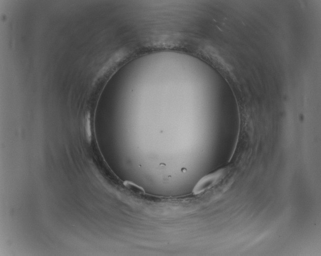 X0000073490020200608071008